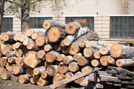 日志木材木材加工厂的原木 工业植物制造业林业日志机器记录生产作坊环境院子背景