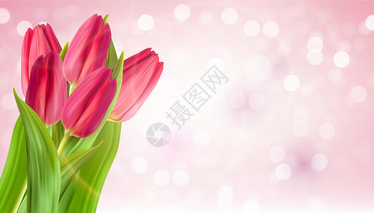 逼真的天然粉红色郁金香花背景 矢量插图背景图片