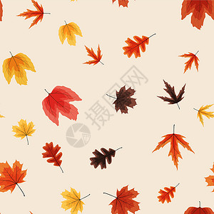 秋天落叶无缝图案背景 它制作图案矢量织物橙子卡片墙纸季节叶子插图植物黄色纺织品背景图片