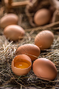 干草新鲜农场鸡蛋农业母鸡产品团体乡村家禽静物脆弱性棕色食物背景