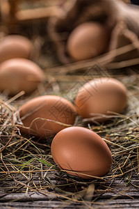 新鲜有机鸡蛋杂货农家院乡村稻草干草棕色母鸡生活国家食物背景图片