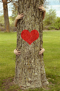 植树包围环境主义者森林手势木头女性感情拥抱树干热情植物女士背景图片