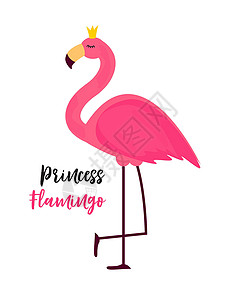粉红色火烈鸟可爱的小公主抽象背景与粉红色的火烈鸟矢量它制作图案情调动物卡片插图热带天堂花束卡通片异国女王插画