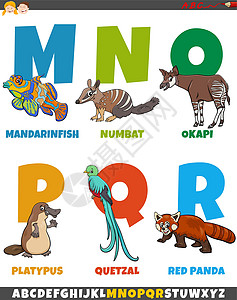 卡通字母集与有趣的动物角色鳜鱼孩子们学习教育收藏食蚁兽字体插图语言鸭嘴兽背景图片