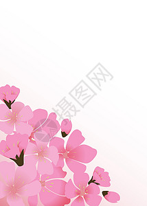 抽象花卉樱花花日本自然背景矢量图案制作花瓣季节白色粉色卡片婚礼花朵插图花园背景图片