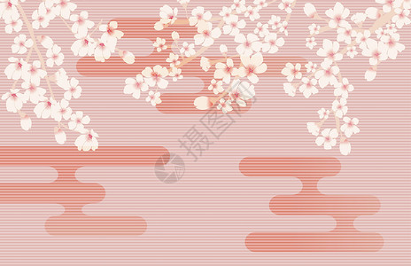 抽象花卉樱花花日本自然背景矢量图案制作粉色花瓣花朵季节花园婚礼白色卡片插图背景图片