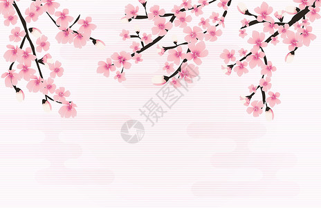 抽象花卉樱花花日本自然背景矢量图案制作插图花园粉色白色花朵季节卡片花瓣婚礼背景图片