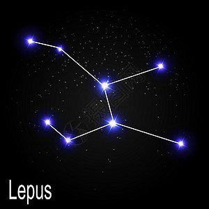 野兔在草甸Lepus 星座与美丽明亮的星星在宇宙天空矢量它制作图案的背景设计图片