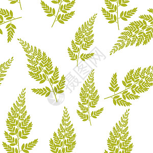抽象的天然春天无缝图案背景与树叶 它制作图案矢量蕨类白色问候语花束植物学艺术美丽绘画植物插图背景图片