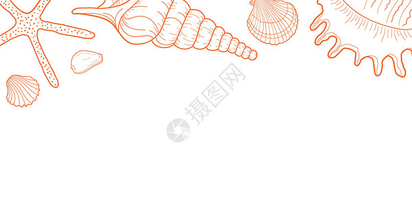 扇贝海星手绘雕刻线条设计模板 用于邀请函 贺卡 海报 横幅 传单 包装等 白色背景上的矢量橙色透明插图插画