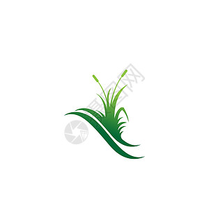 天然草图标标志设计矢量模板温泉标识治疗草本植物环境插图花园季节生态商业背景图片