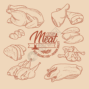 一套新鲜的禽肉插画