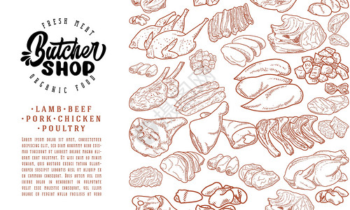 家禽市场新鲜生肉雕刻设计涂鸦菜单牛扒猪肉屠夫家禽熏肉标签烹饪插图插画