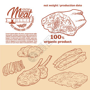 羊棒骨新鲜生肉雕刻设计产品羊肉涂鸦烹饪火腿熏肉家禽菜单绘画羊排插画