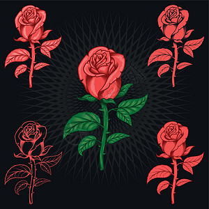 玫瑰图形粉红色的花与雷神插画