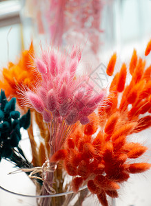 用于 doceratio 的五颜六色的干野花季节收成干果装饰创造力花朵家居墙纸农业植物背景图片