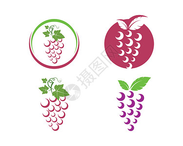水果葡萄标签带有叶子图标矢量图案的葡萄果实菜单植物收成食物标签酒厂葡萄园酒吧浆果酒精插画