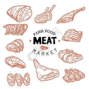 羊棒骨鲜肉集和肉类市场日志插画