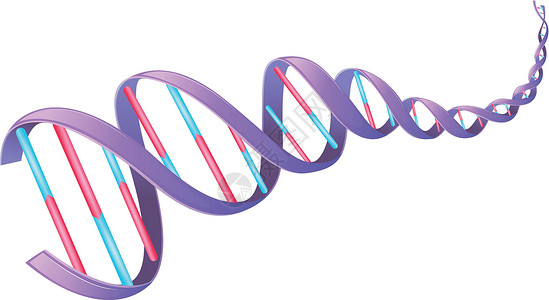 人类DN嘌呤菌类生物蓝图技术绘画教育螺旋纽带核糖高清图片