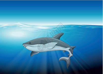 浮游植物鲨鱼动物学生物学耳朵浓度低温色谱密度水温池塘氧气设计图片