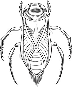 船工水船插画