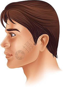 脖子特写男人脸的侧视图插画