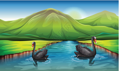标目王目山河中的天鹅插画