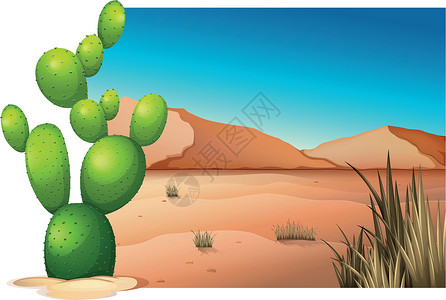 仙人掌亚科沙漠中的仙人掌多肉植物地貌植物蓝色绘画园林环境被子土地杂草插画