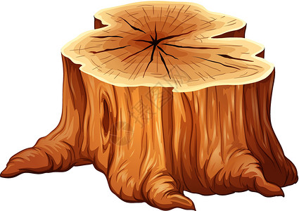 重新定义安全坐椅一个大树桩树干砍伐树木木材白色粉碎机日志年龄落叶木头设计图片