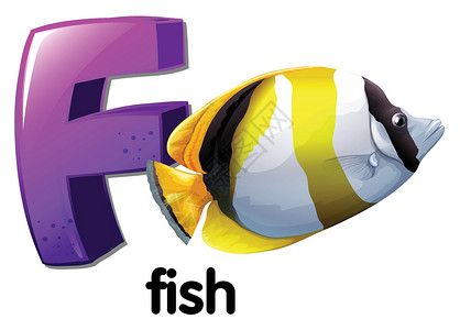 舌头鱼字母 F 代表 fis首都食物动物倾斜艺术家艺术品教育鲑科宠物淡水插画