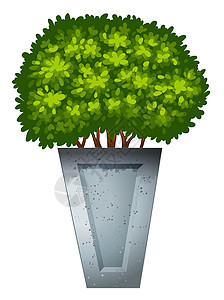 塑料花盆一个绿色的装饰计划装饰品盆栽花盆进化枝亚热带绘画植物塑料叶子黏土插画