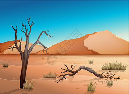 喷砂生态系统沙漠插画