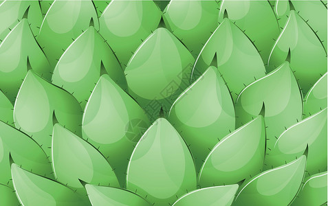 阿加尔阿加韦帕里里语Name植物科灰绿色树叶光合作用叶子科学结构阳光褐色单子插画
