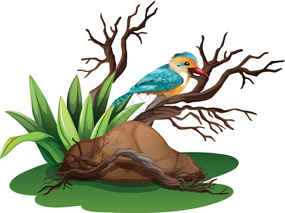 树枝上的一只鸟农业猎物石头植绒新陈代谢下蛋动物树叶捕食者绘画背景图片