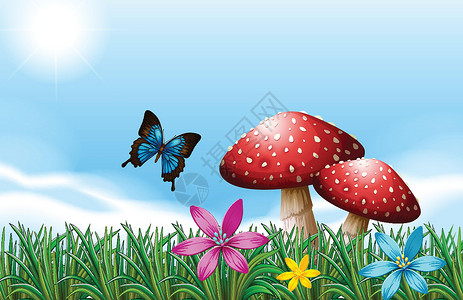 双肾草在红色蘑菇附近的一只蝴蝶设计图片