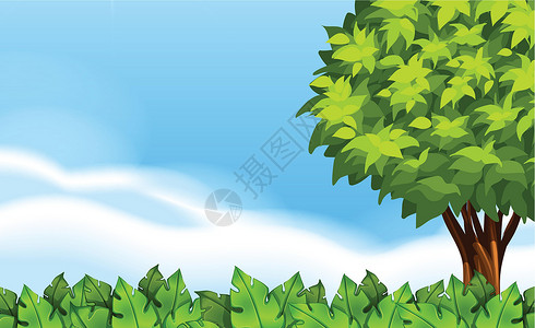 多依树梯田与绿色植物的夏天风景设计图片