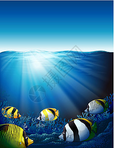 连年有鱼有阳光的海底鱼设计图片