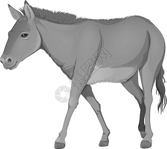 阿西吧一只灰色的驴插画
