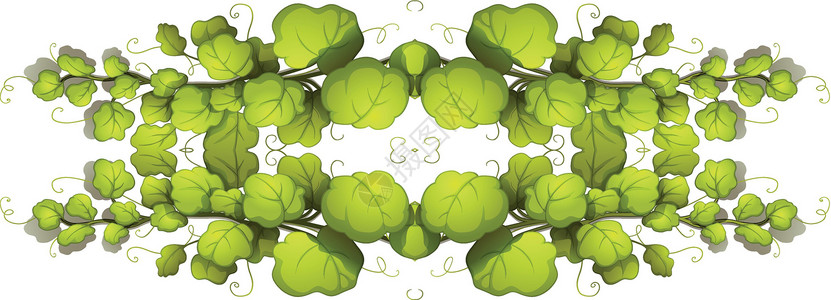 让氧多起来绿叶植物装饰品光合作用多叶气孔绿色叶子血管资源器官绿色植物插画