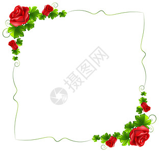 红玫瑰边框与红玫瑰的花卉边框插画