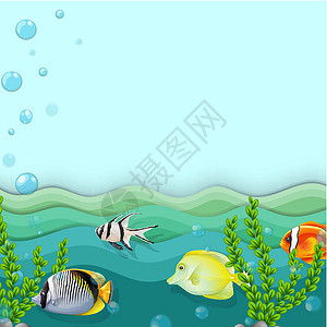 大叶海藻有鱼的海设计图片