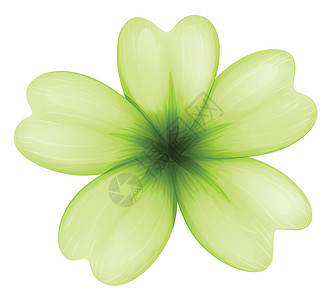 淡绿色的花背景图片
