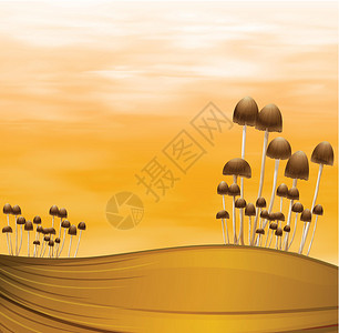 毒蝇伞蘑菇厂设计图片