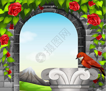花瓣形拱门有玫瑰和 bir 的石墙插画