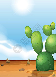 沙漠中的仙人掌植物绿化园艺蓝色装饰品植物学作用苹果酸蒸腾凸轮亚科插画