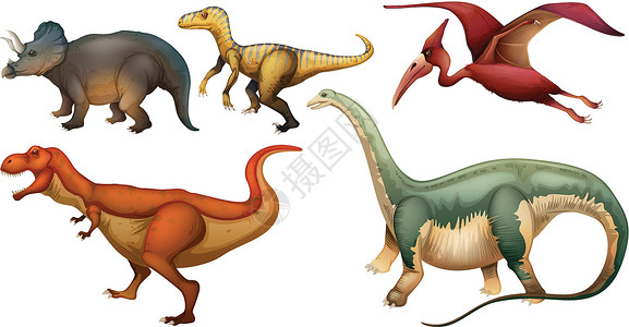 四圣兽一群恐龙插画