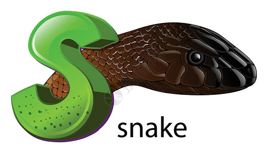 鞭毛虫字母 S 代表蛇蛇类脊椎动物毒液爬虫首都学校绘画教育捕食者蛇蝎插画