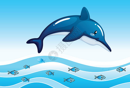 烧家鱼大海里有一只大海豚和一群小鱼设计图片