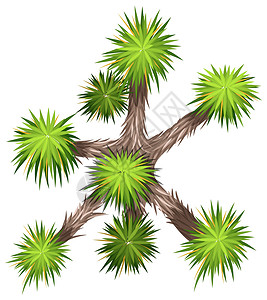 丝兰卡通片绘画绿色装饰品分支机构插图树叶木头树干植物背景图片