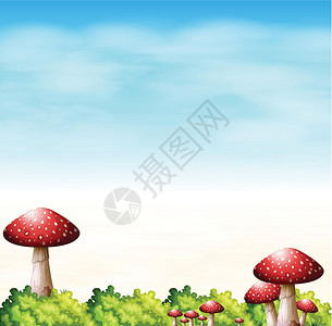 菌丝体有红色蘑菇的一个庭院设计图片